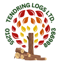 Tendring Logs Logo 01255 886993